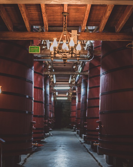 Wine Cave Storage in Wood Barrels